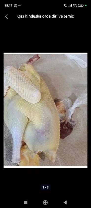 Чай, кофе, напитки: Temizlenmiş qaz ördek colpa hinduska var — 3