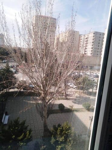 mingecevirde kiraye ev: Xırdalanda Heyder Parkın yaxınlığı Bizim market yanı 5 mərtəbəli — 16