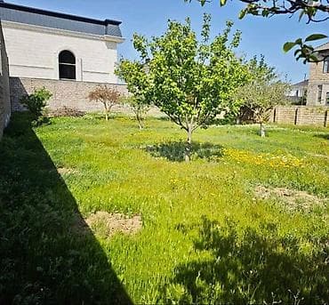 Otaqlar: 6 sot, Makler, Kupça (Çıxarış) — 3