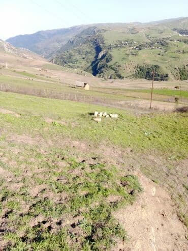 земельный участок в деревне: 29 соток, Для строительства, Собственник, Купчая — 3