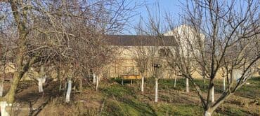 binəqədidə həyət evləri: 6 otaqlı, 300 kv. m, Yeni təmirli — 13