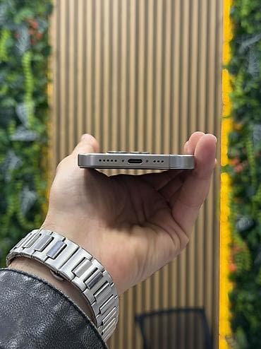 12 iphone: IPhone 15 Pro, 128 GB, Gümüşü, Face ID — 4