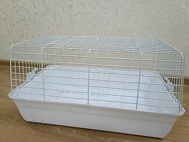 Kiçik ev heyvanları üçün qəfəs. Ağ rəngli metal barmaqlı üst hissə və lalafo.az -da Kiçik ev heyvanları üçün qəfəs. Ağ rəngli metal barmaqlı üst hissə və