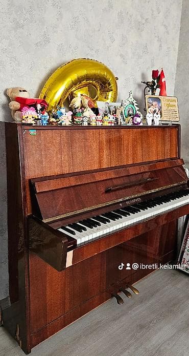 Piano, Belarus, Akustik