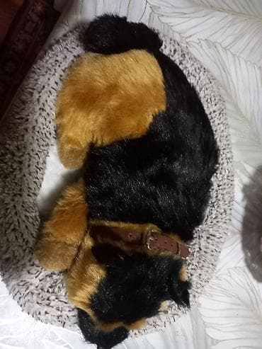 yolka oyuncagi: Fiqur, rəng - Qəhvəyi — 3