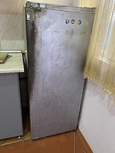 maqintafon satisi: Bir kameralı məişət soyuducusu - Üst hissədə ayrıca qapılı kiçik — 3