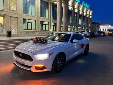ломбард без изъятия авто бишкек: Ford mustang 2018 toy nişan və digər tədbirlər üçün sifariş edə — 8