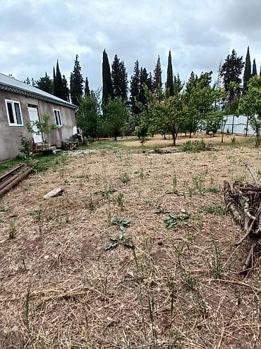 ev və bağ: 3 otaqlı, 112 kv. m, Kredit yoxdur, Orta təmir — 8
