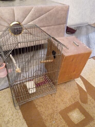 sumqayit qəfəs: Metal qəfəs, quş saxlamaq üçün nəzərdə tutulub. Qəfəsin içərisində yem — 5