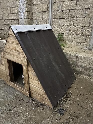 Зоотовары: A frame it yuvası çox keyfiyətli istiyə və soyuğa davamlı penoplas və — 2