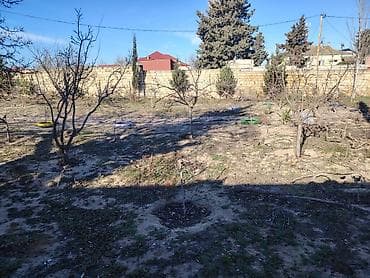 əmlak az xırdalan: 15 sot, Tikinti, Maklerlər narahat etməsin, Kupça (Çıxarış) — 5