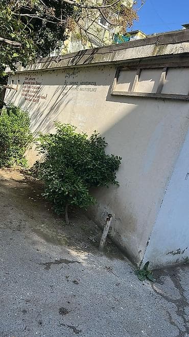 dt 75 satilir: Daş Qaraj(anbar) Hal hazırda 250 azn -ə anbar kimi icarədədir.Təcili — 2