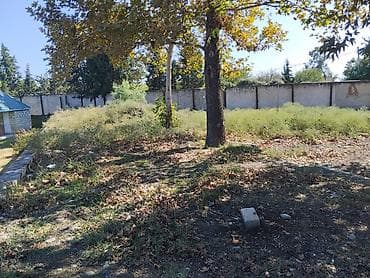 42 sot, Biznes üçün, Maklerlər narahat etməsin, Kupça (Çıxarış) — 9