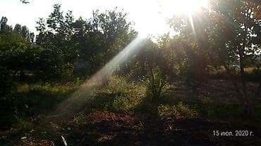 emircanda torpaq satilir: 8000 sot, Biznes üçün, Mülkiyyətçi, Kupça (Çıxarış) — 2