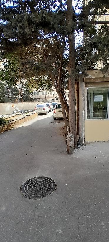 obyekt nerimanov: Kommersiya obyektinin icarəsi/satışı üçün təklif - Təyinat: ofis — 2