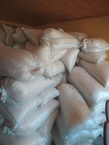 leziz cerez: Ağ günəbaxan tumu 2ton 1kq-1AZN — 2
