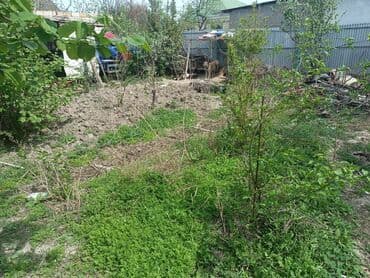 meyve tərəvəz: RT Arxasında körpüdən sağda 2 ci küçədə 2 mərtəbəli 8 otaqlı həyət evi — 36