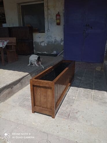 gül dibçəkləri: Dibçək güldanlar Dipçəklər bir başa sexdən.Sex qiymətinə. ♦️Endrim2025 — 2