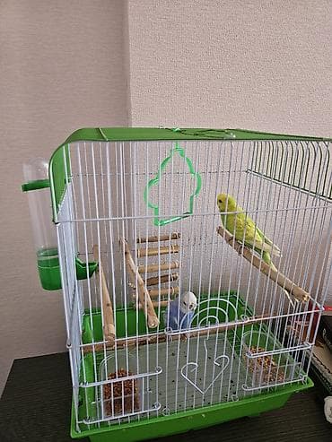hamster evi: Budaqlar və aksesuarlarla tam avadanlıqlı quş qəfəsi - Ölçü: orta — 3