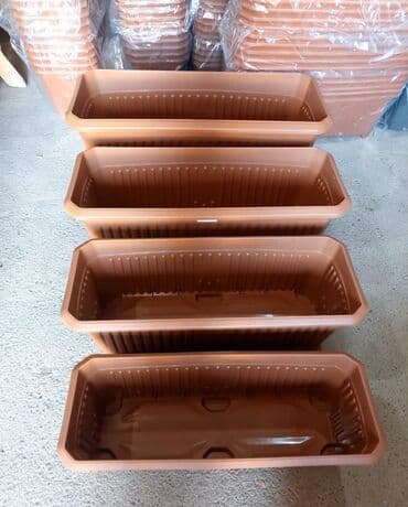 орхидея баку: Dibcek kvadrat duzbucaqli bitkilər üçün dibçəklər Dibcekler — 3