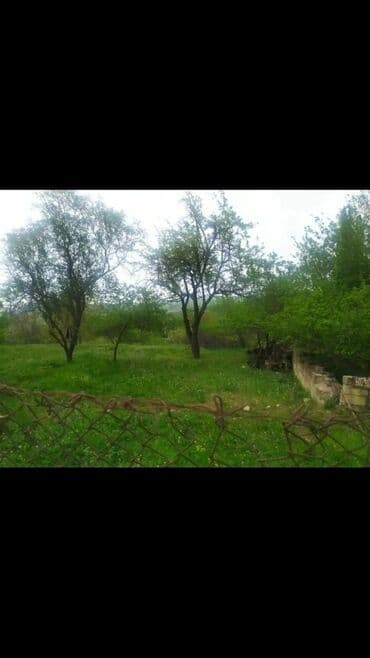 torpaq lokbatan: Yaşıl otlar və müxtəlif ağaclarla örtülmüş, yamaclı ərazidə yerləşən — 5