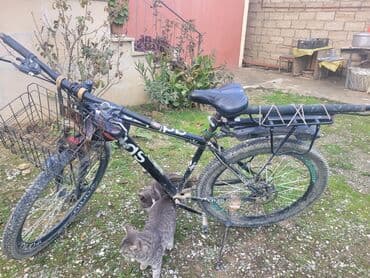 velosibet gəncə: İşlənmiş Şəhər velosipedi Adidas, 29" — 5