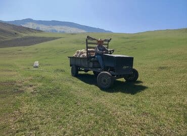 вешалка для одежды напольная: Fermə və bağ üçün — 3