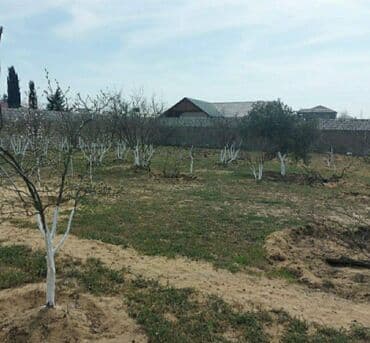 bilgəhdə torpaq: 24 sot, Tikinti, Makler, Kupça (Çıxarış) — 4