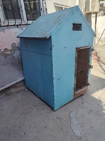 qaz bala: Taxta quşxana/kümes Göyərçin yuvası satılır - Material: qalın taxta — 4
