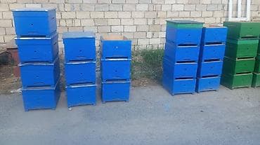 Arıçilik üçün taxta pətəklər və korpuslar - Material: möhkəm taxta lalafo.az -da Arıçilik üçün taxta pətəklər və korpuslar - Material: möhkəm taxta