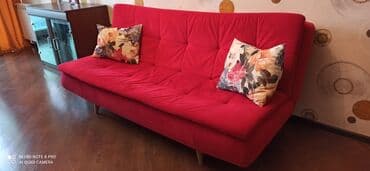 Bitkilər: Mini-divan, İşlənmiş, Açılan, Çatdırılma yoxdur — 2