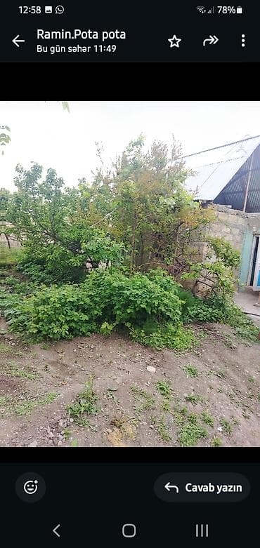 hazır bağça: Tikinti, Mülkiyyətçi, Bələdiyyə — 1