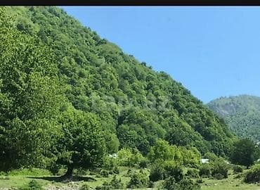 qəbələ rayonu: 10 sot, Tikinti, Barter mümkündür, Kupça (Çıxarış) — 3