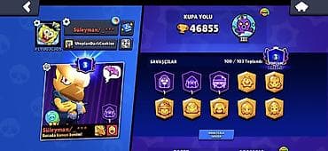 Brawl Stars oyunu üçün yüksək səviyyəli hesab - Kupa yolu: 46,855 -