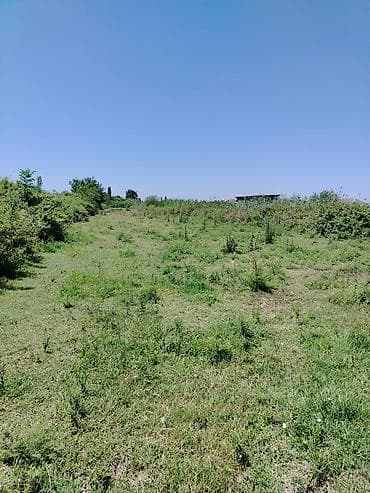 emlak alqi satqisi: 200 sot, Mülkiyyətçi, Kupça (Çıxarış) — 7