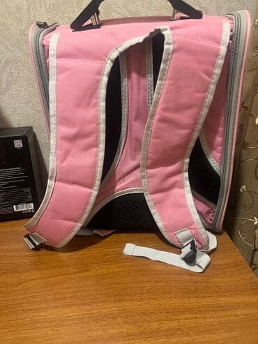 pişik latok: Pişik üçün sumka 60 m alınıb — 2