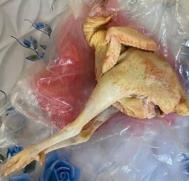 UAZ: Salam toyuqlar satilir 15 manata diri 16 manata hazir 9 mantada var — 1