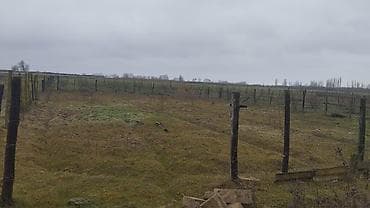 yungul konstruksiyalı evlər: 8 sot, Kənd təsərrüfatı, Barter mümkündür, Kupça (Çıxarış) — 1