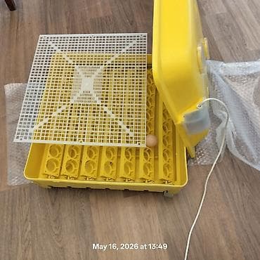 noki 1100: Inkubator, 60ədədli, İtaliya istehsalı, INCUBATRICI BOROTTO (Avtimatik — 3