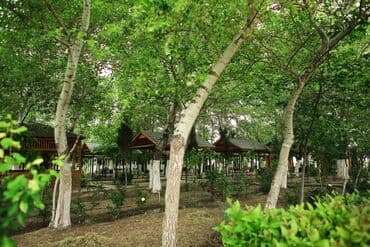 hovuzlu evler baki: Obyekt İstirahət Mərkəzi satılır 1 hektarda Hacıqabul İpək yolu — 4