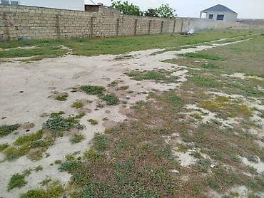 mida satis: 6 sot, Tikinti, Mülkiyyətçi, Kupça (Çıxarış) — 3