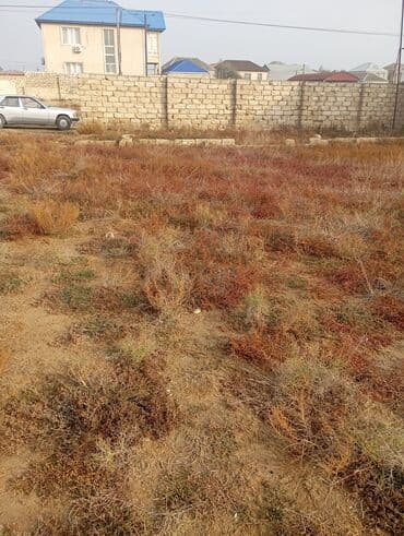 otel arendaya verilir: 7 sot, Tikinti, Mülkiyyətçi, Kupça (Çıxarış) — 2