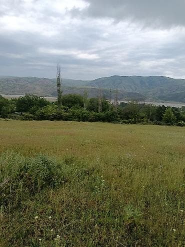 300 sot, Biznes üçün, Barter mümkündür, Kupça (Çıxarış) — 3