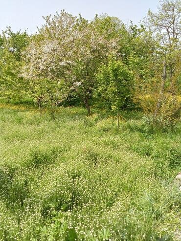 что такое şahdağ i̇stirahət evi nabran: 8 комнат, 250 м², Средний ремонт — 3