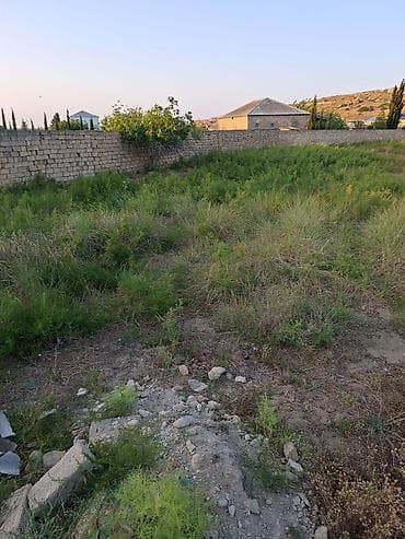 Torpaq sahələrinin satışı: 24 sot, Tikinti, Makler, Kupça (Çıxarış) — 2