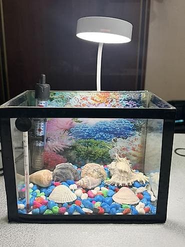 Akvariumlar: Dördbucaq akvarium, Boş, 15 l — 1