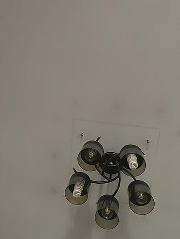 Картины и портреты: Люстра, 5 ламп, Металл — 3