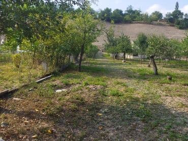 продается земельный участок: 24 sot, Kənd təsərrüfatı, Kupça (Çıxarış) — 10