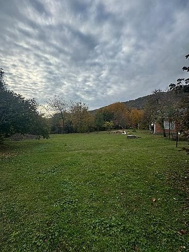 rayonlar: Zaqatala rayonu, Car kəndində torpaq sahəsi satılır 📍 Sakit və — 2