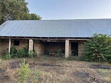 Masalli rayonu Qasimli kendi mektebin yanina az qalmis heyat evi — 4